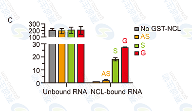 RNA Pull-down model figure C