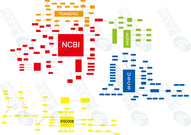 生物信息學(xué)研究進(jìn)展