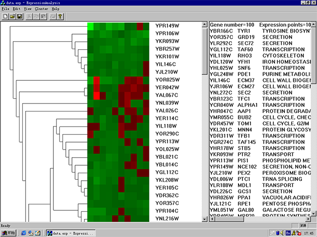 聚類(lèi)分析結果樹(shù)圖 聚類(lèi)分析結果樹(shù)圖