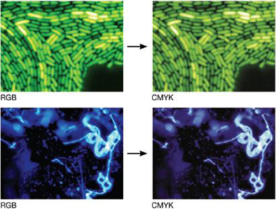 彩色Figure中顏色模式的區別 彩色Figure中顏色模式的區別