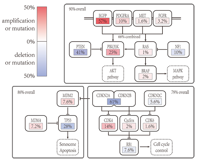 多元統計結構方程