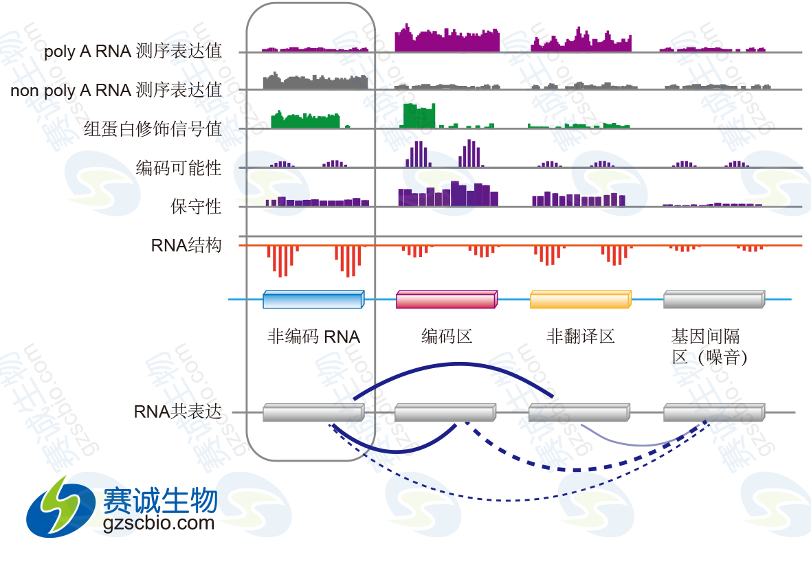 利用數據整合對lncRNA進(jìn)行鑒定.png