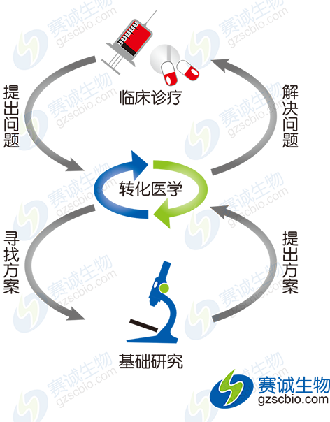 轉化醫學(xué)模式示意圖.png 轉化醫學(xué)模式示意圖.png