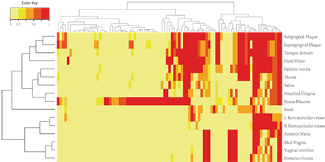 5 基因芯片聚類(lèi)分析.png