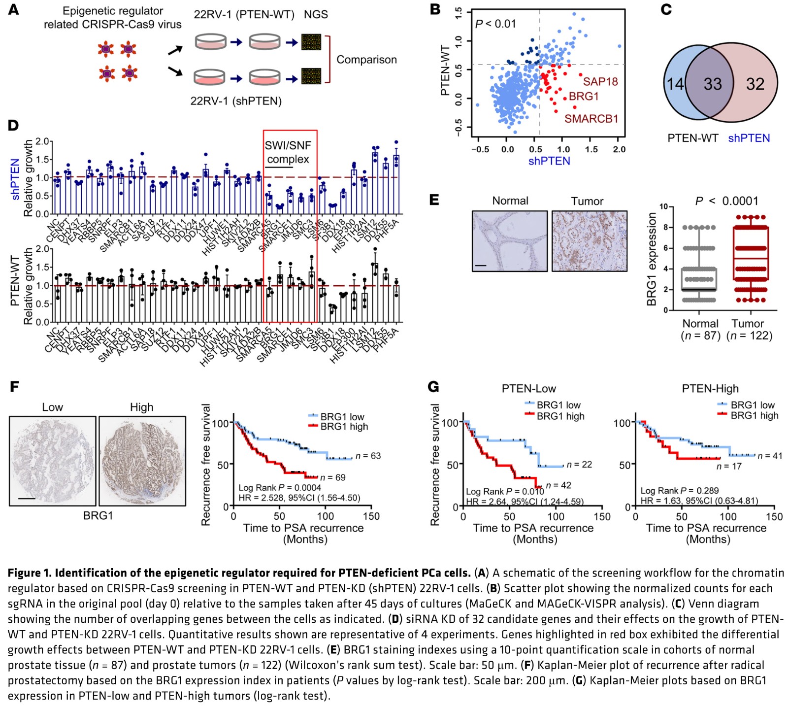 1584156251339018811.jpg fig 1.jpg