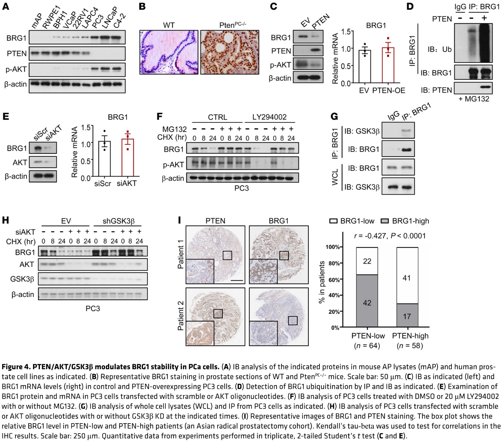1584156311632049319.jpg fig 4.jpg