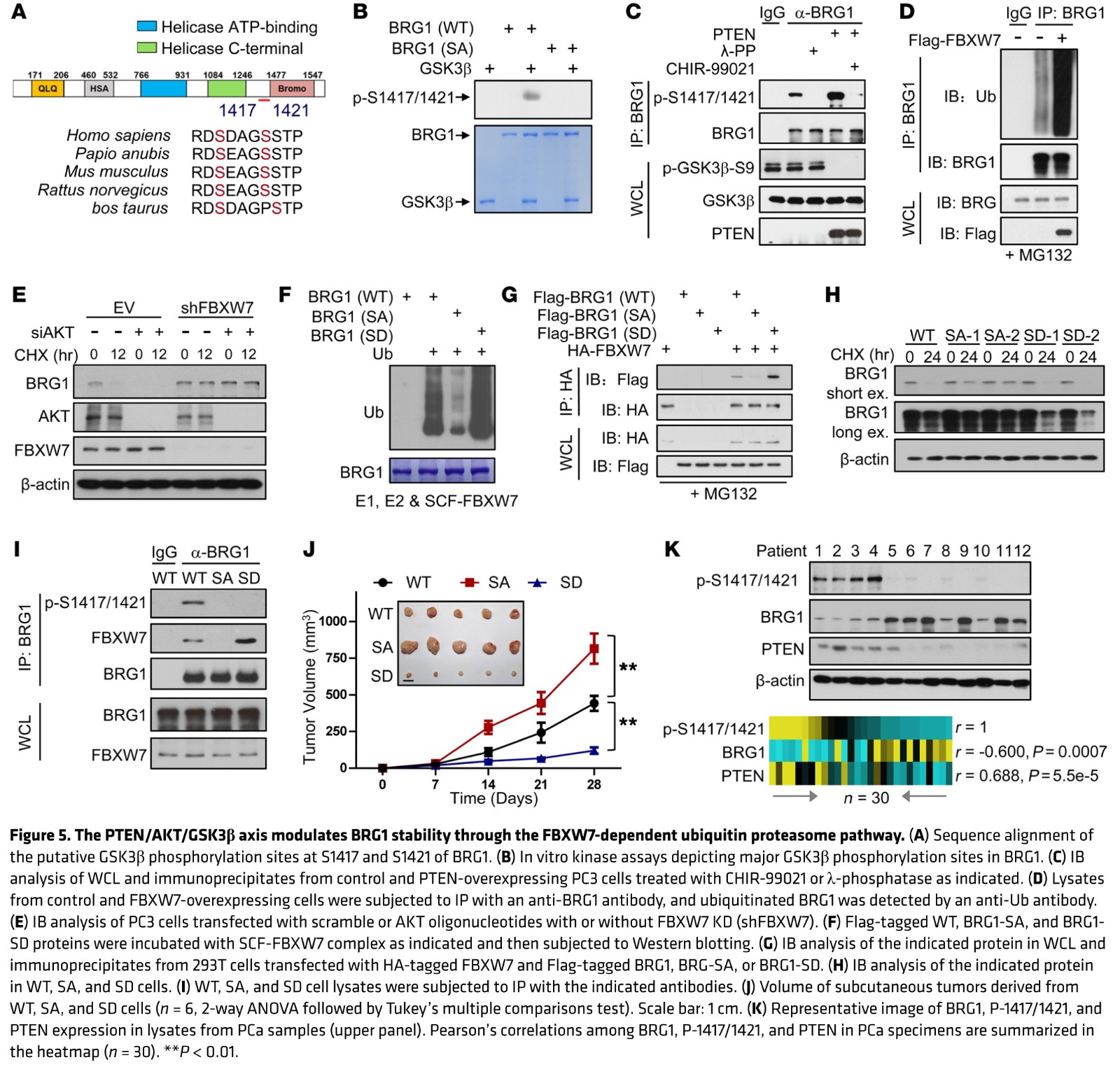 1584156331375073425.jpg fig 5.jpg