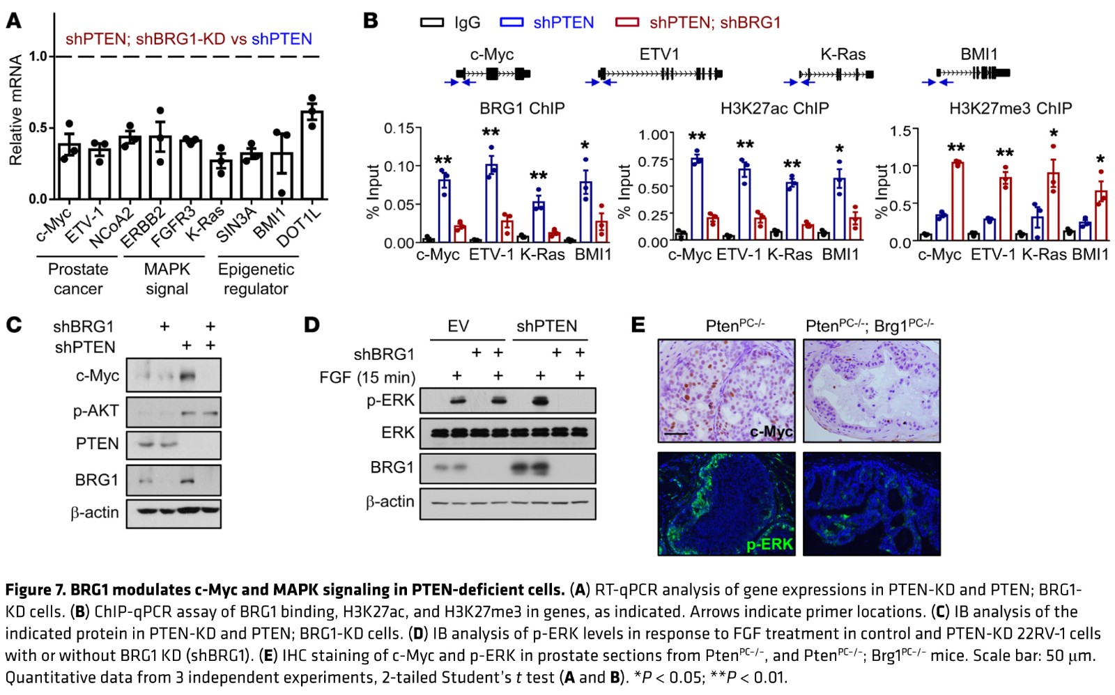 1584156387961038676.jpg fig 7.jpg